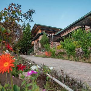 Tree Of Life Resort Dehradun Foothills